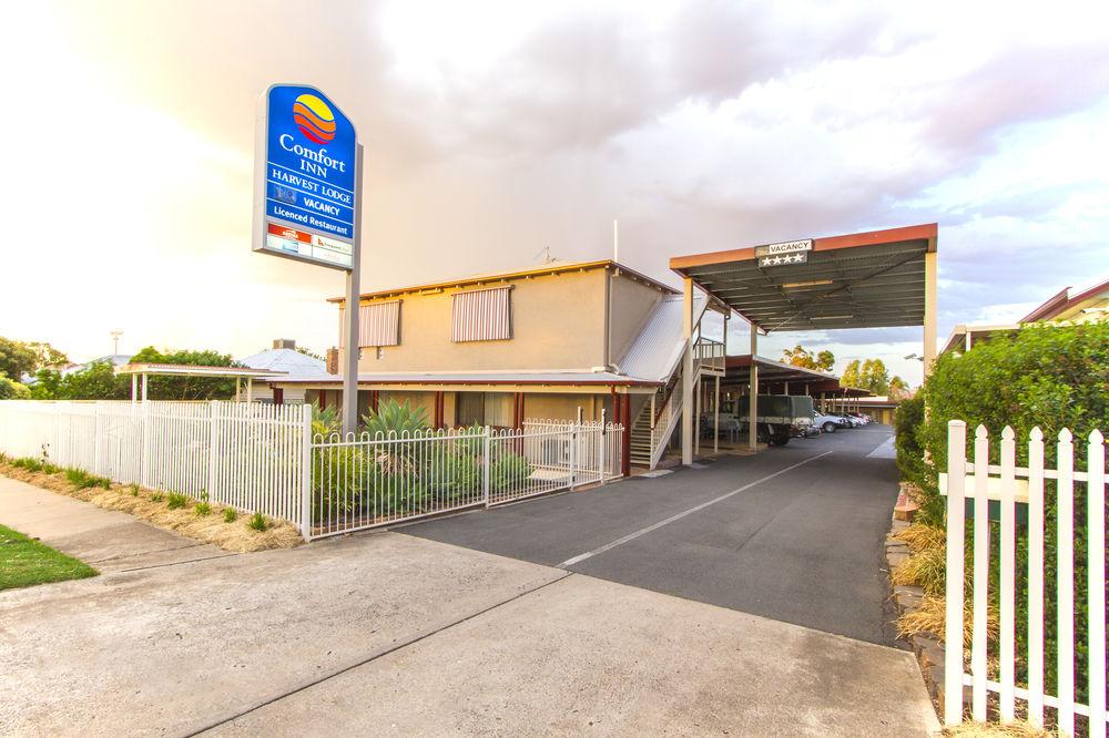 Harvest Lodge Motel - Gunnedah Exterior photo